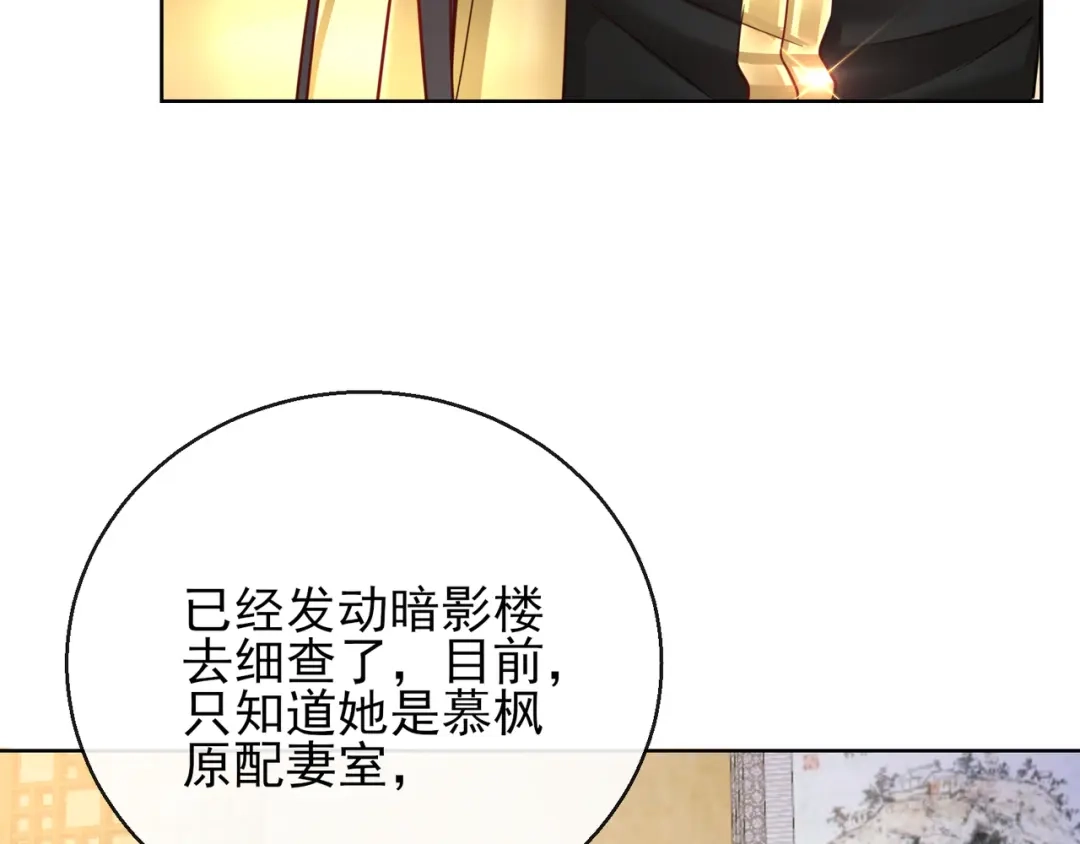 《王妃的成长攻略》1.25 唯一的宠妃 第85页