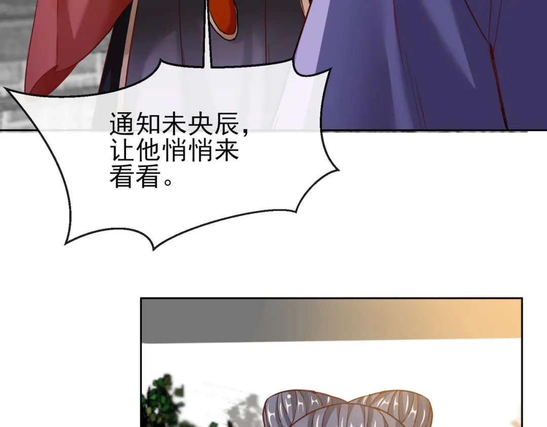 《王妃的成长攻略》1.25 唯一的宠妃 第54页
