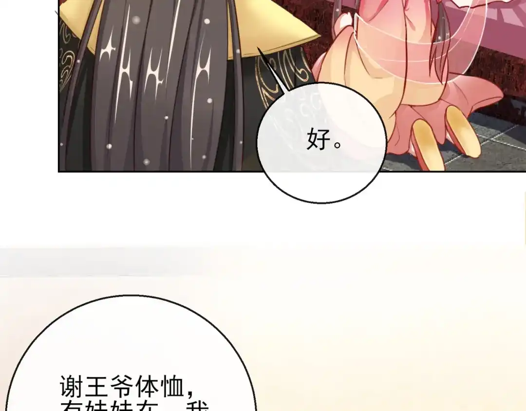 《王妃的成长攻略》1.28 带着妹妹进王府 第47页