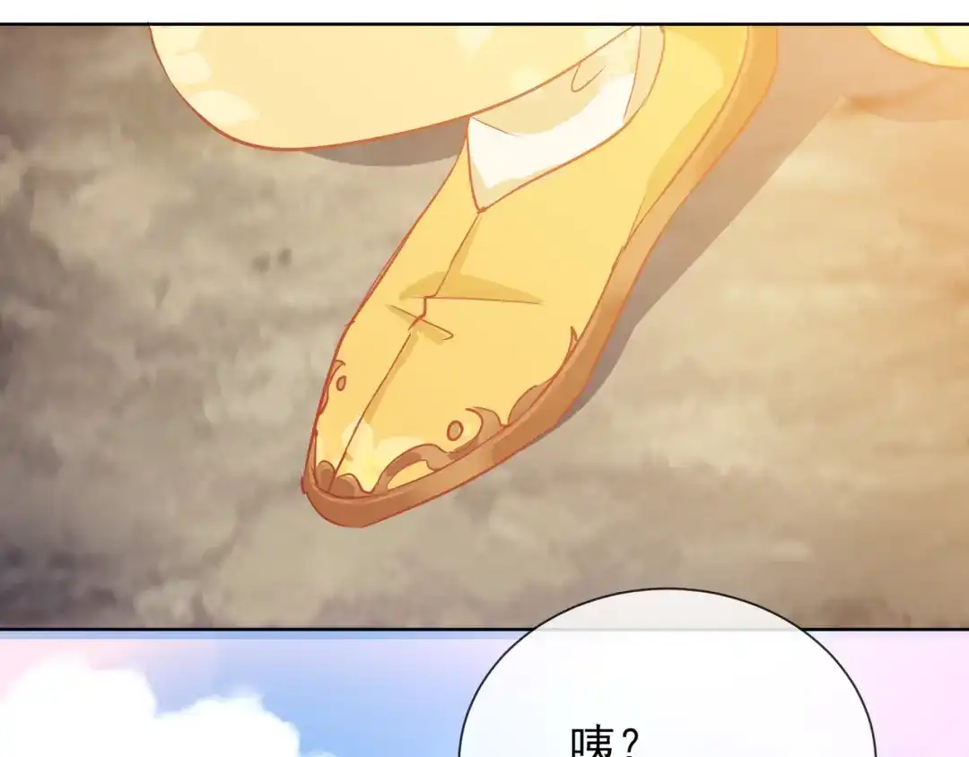 《王妃的成长攻略》1.29 王府赏花 第102页