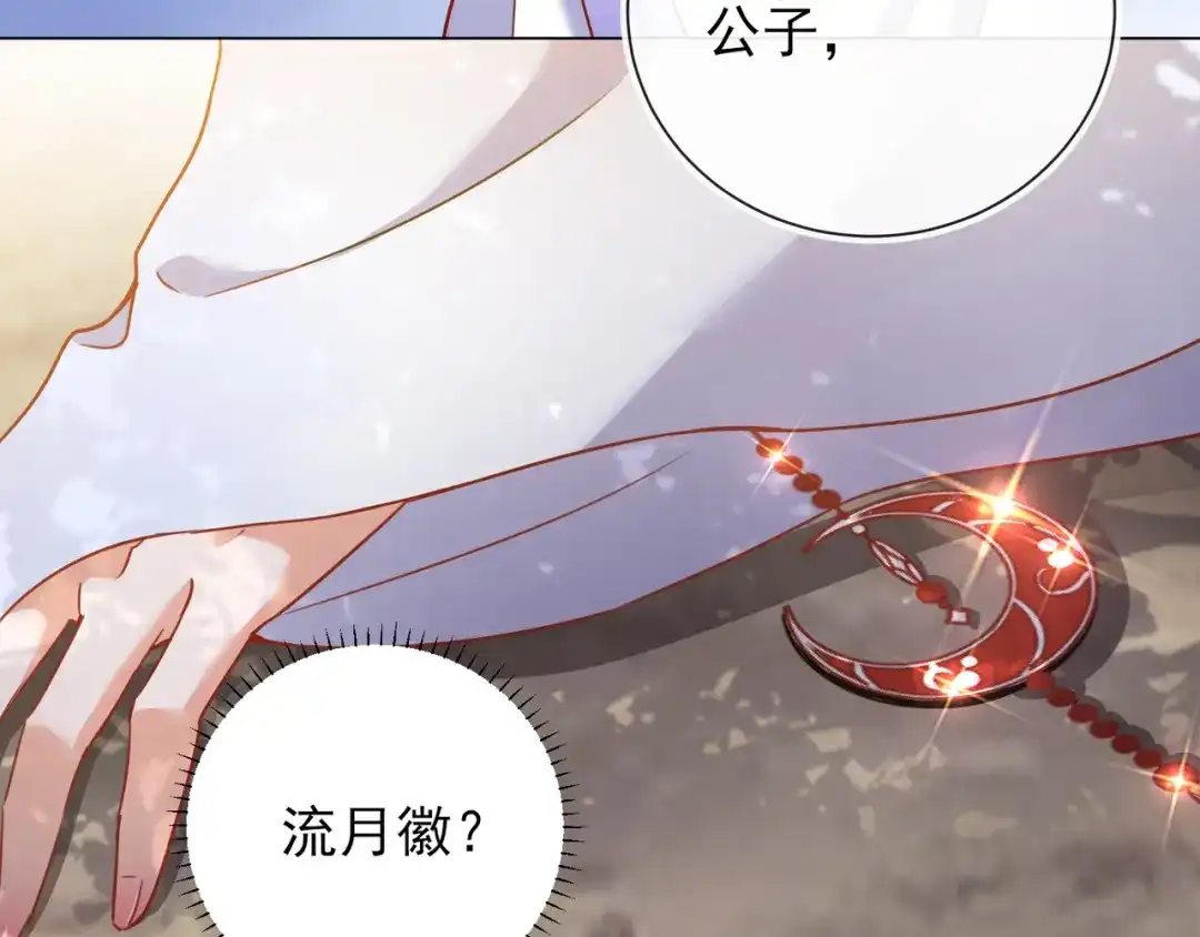 《王妃的成长攻略》1.35 一年前的真相 第29页