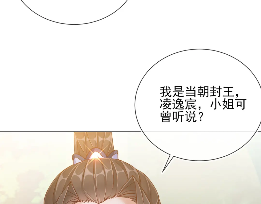 《王妃的成长攻略》1.35 一年前的真相 第46页