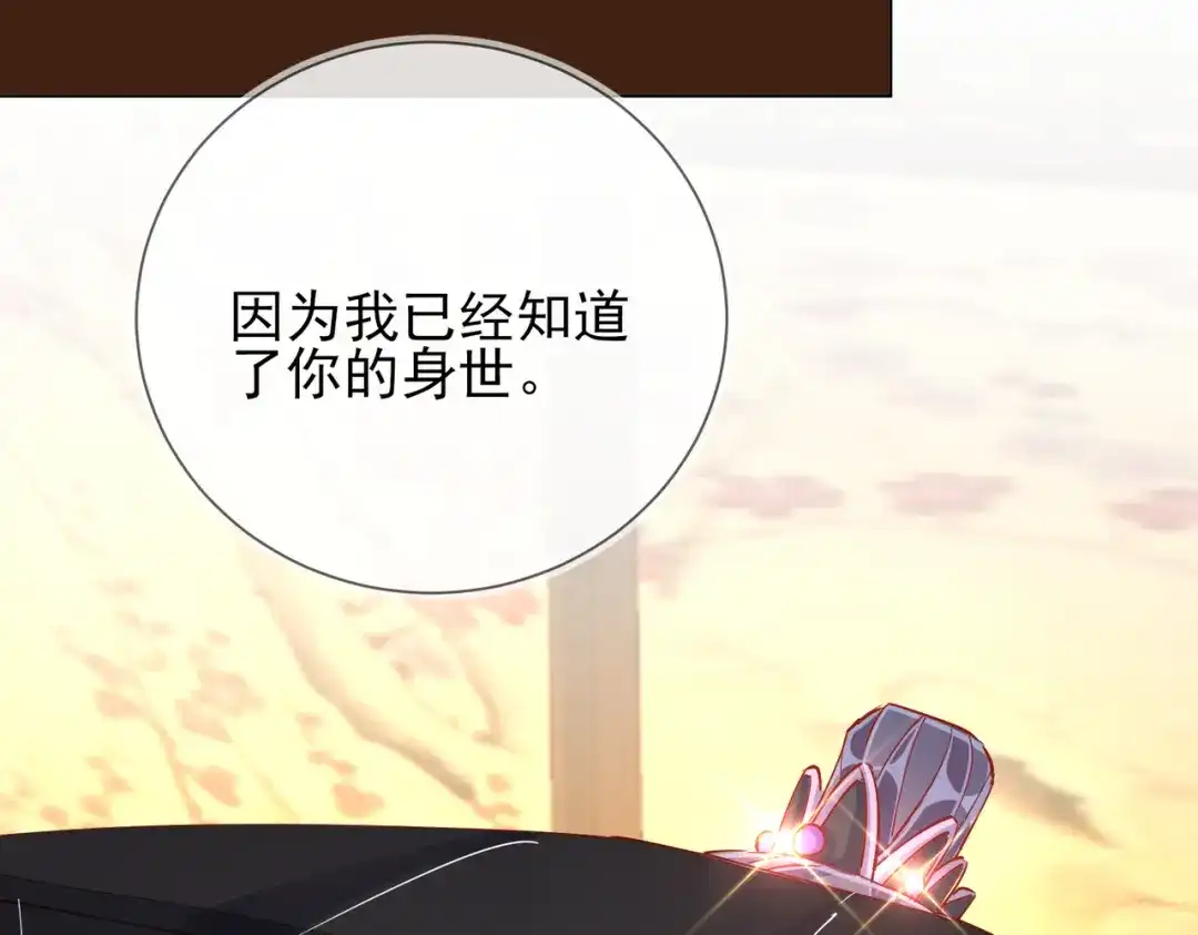 《王妃的成长攻略》1.42 秘密见面 第120页