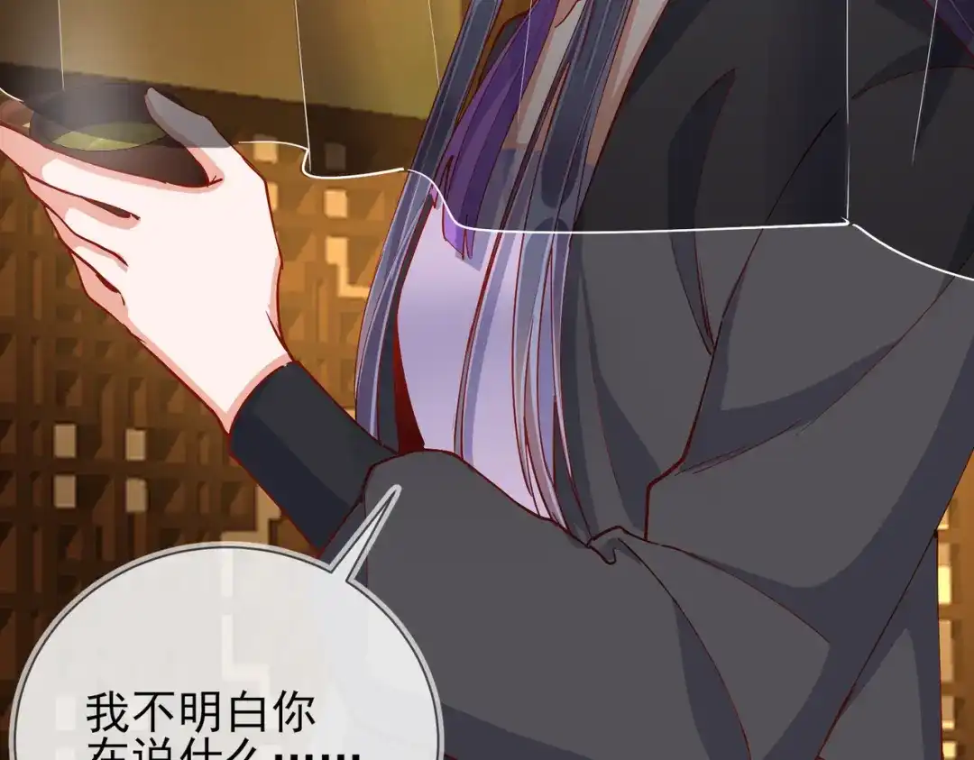 《王妃的成长攻略》1.42 秘密见面 第122页