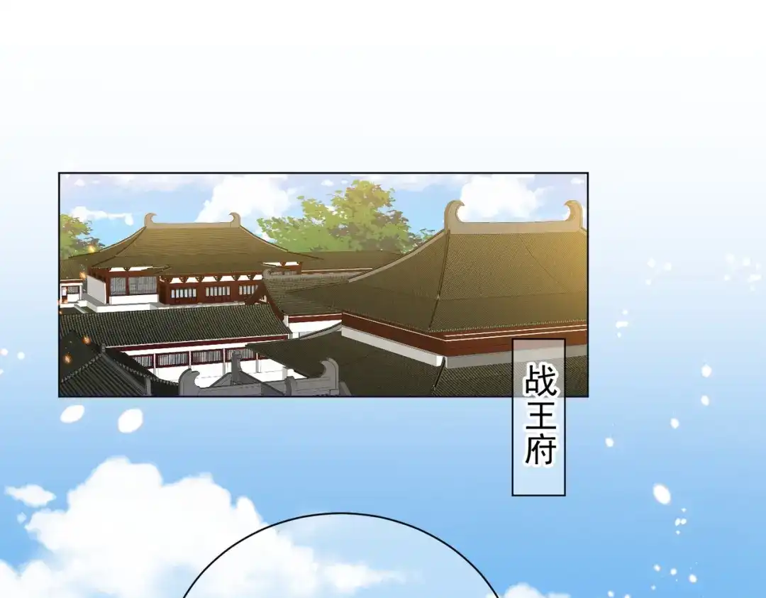 《王妃的成长攻略》1.48 战王病危 第50页
