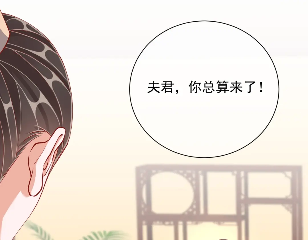 《王妃的成长攻略》1.48 战王病危 第62页