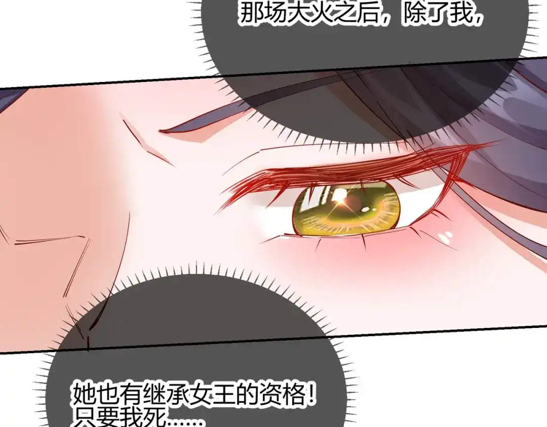 《王妃的成长攻略》2.20 阴云笼罩 第68页