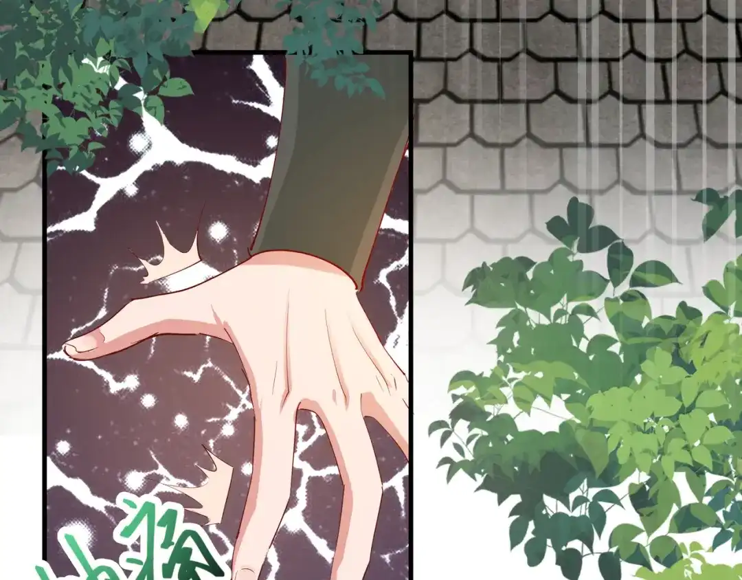 《王妃的成长攻略》2.27 神秘替身 第62页
