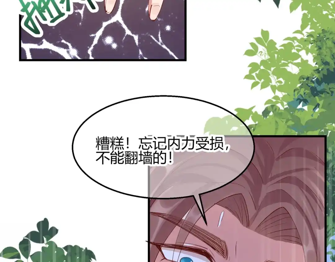 《王妃的成长攻略》2.27 神秘替身 第63页