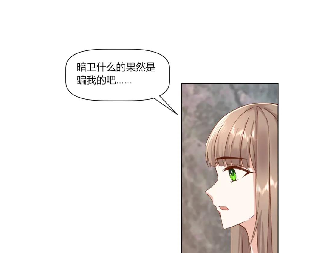 《王妃的成长攻略》2.36 安王被绑架？ 第27页
