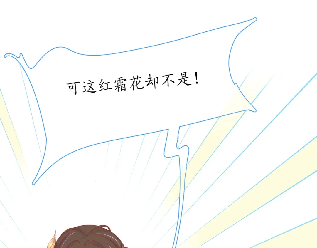 《王妃的修仙指南》第36话 竟然炼出了精品灵丹 第15页
