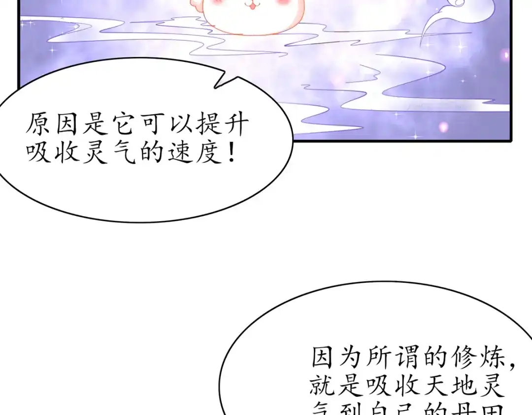 《王妃的修仙指南》第55话 先天灵宝 云兔 第60页