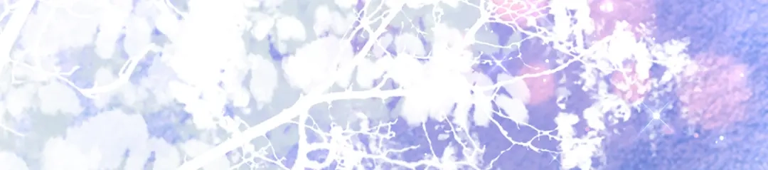 《王妃的修仙指南》第72话 稀有灵符应有尽有 第72页