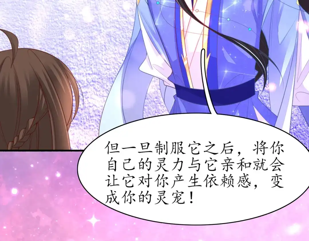 《王妃的修仙指南》第73话 收获新灵宠 第41页