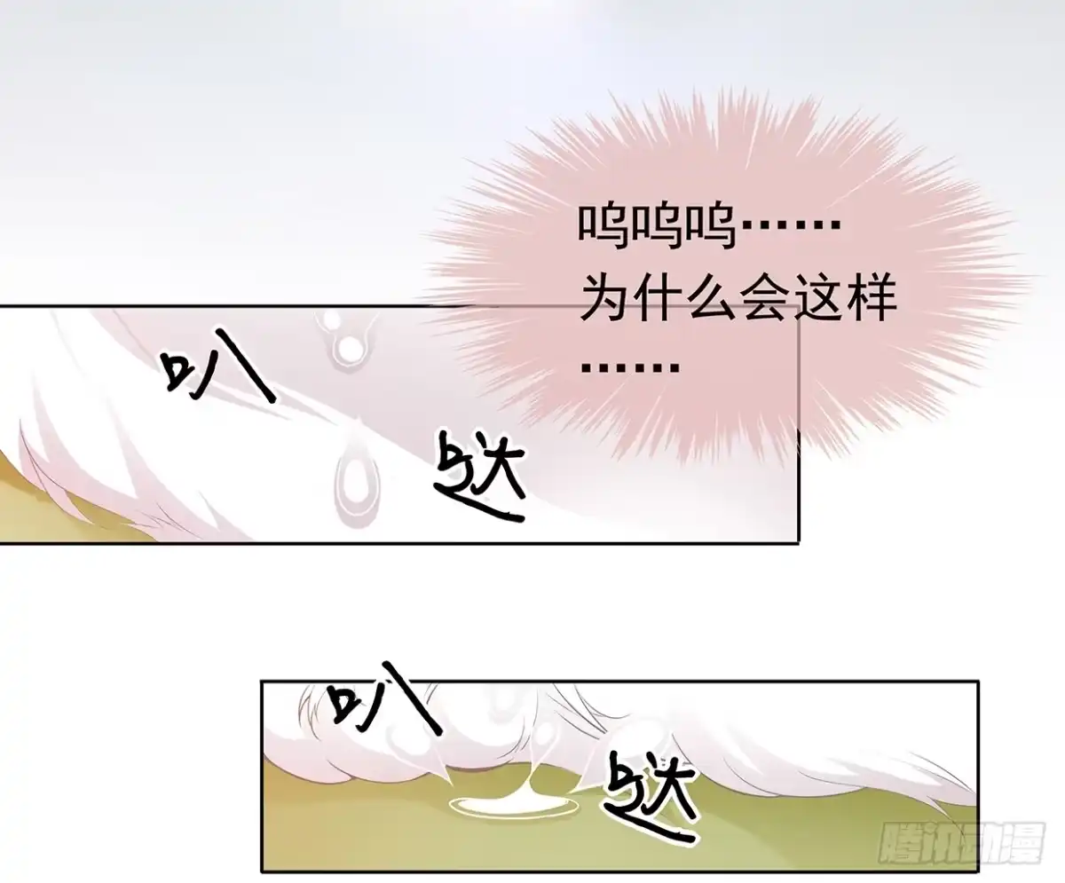 《王妃好威武》穷奇的新娘？ 第2页