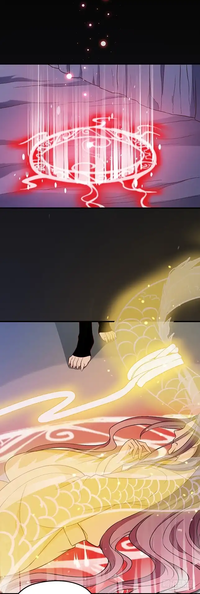 《王妃好威武》合作关系 第11页