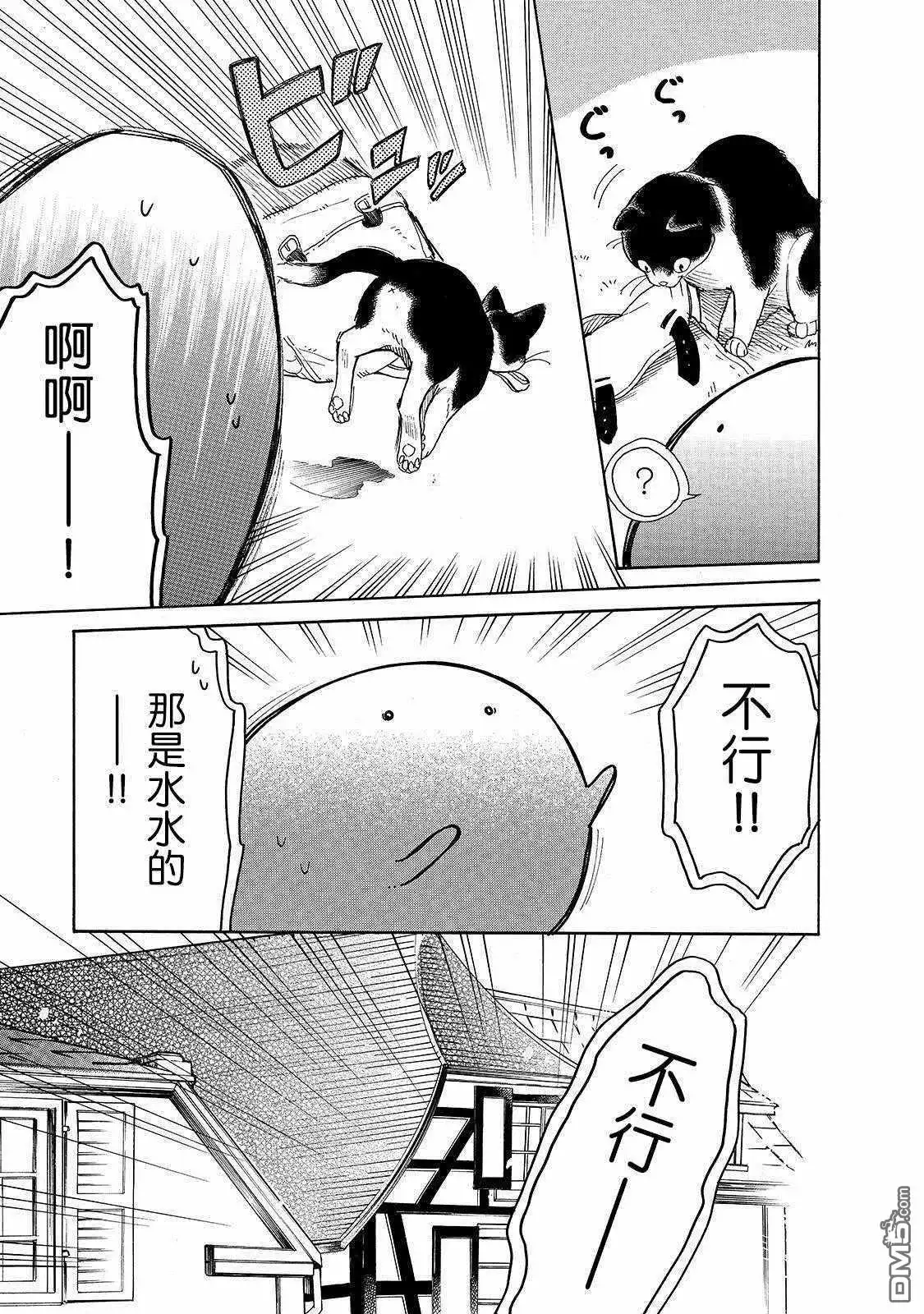 《网购技能开启异世界美食之旅 水水的大冒险》第23话 崭新的皮包和小猫仔 第7页