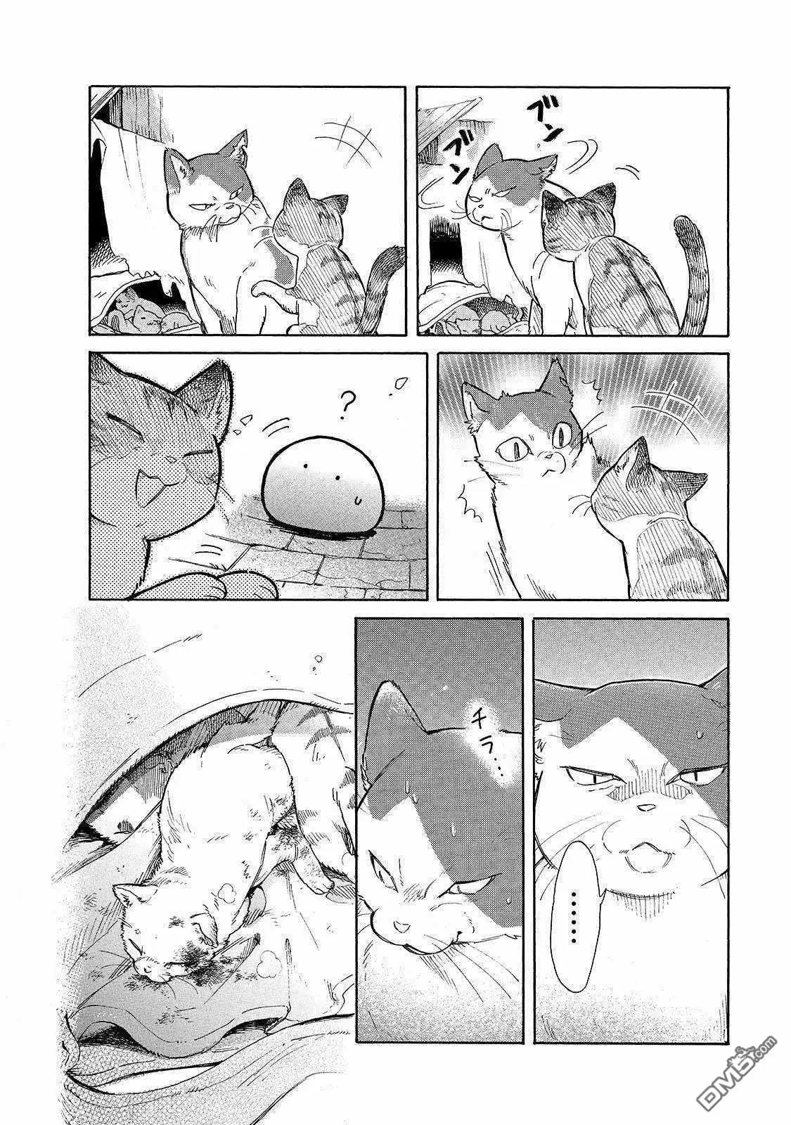 《网购技能开启异世界美食之旅 水水的大冒险》第23话 崭新的皮包和小猫仔 第12页