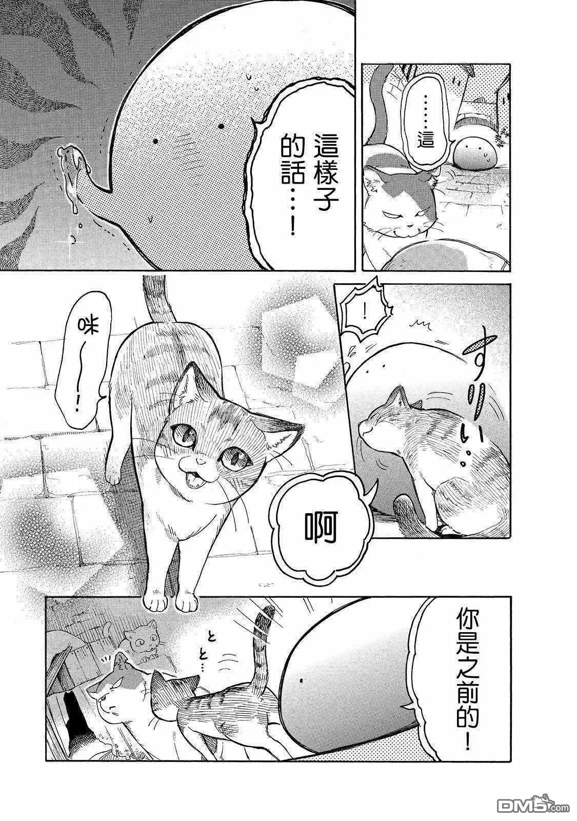 《网购技能开启异世界美食之旅 水水的大冒险》第23话 崭新的皮包和小猫仔 第11页