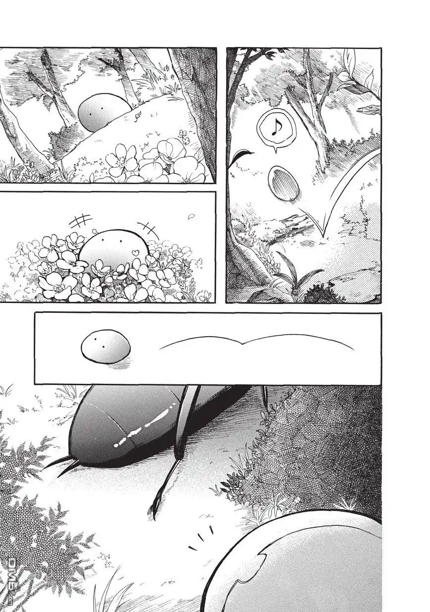 《网购技能开启异世界美食之旅 水水的大冒险》第5话 迷路的史莱姆与森林大冒险（中篇） 第5页