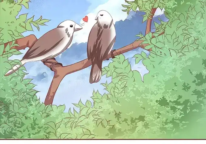 《王爵的私有宝贝》第105话 第6页