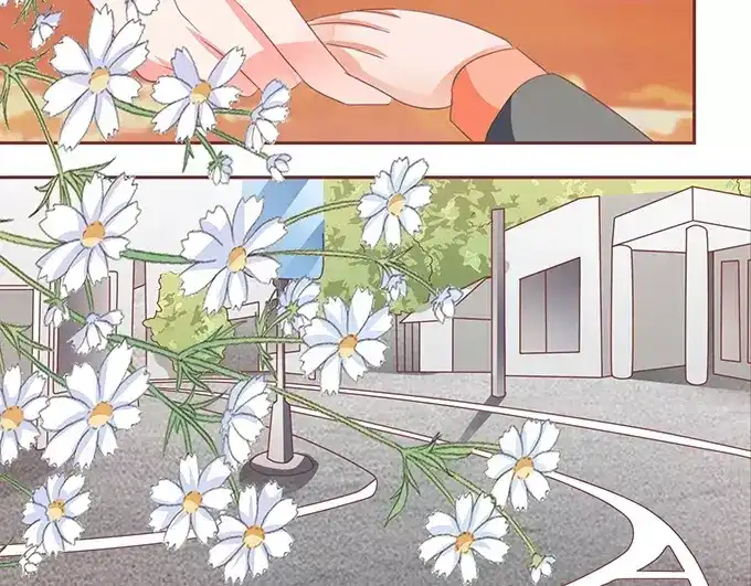 《王爵的私有宝贝》第114话 第29页