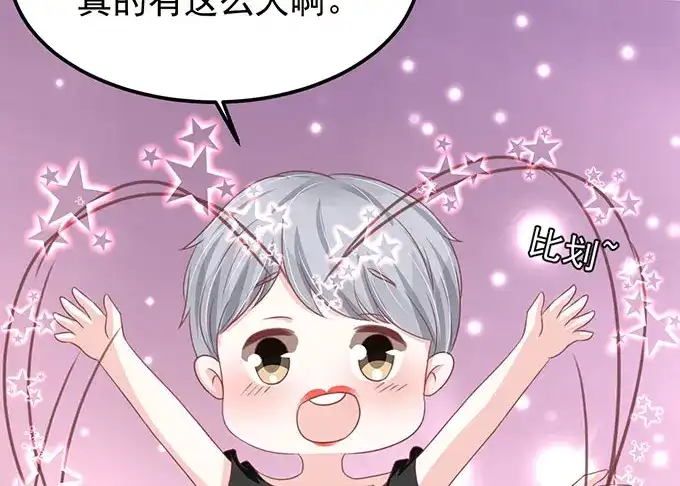 《王爵的私有宝贝》第138话 第66页