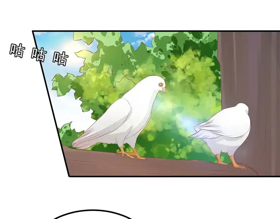 《王爵的私有宝贝》第173话 第13页