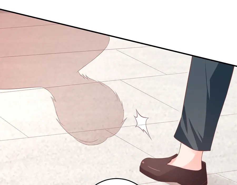 《王爵的私有宝贝》第192话 第66页