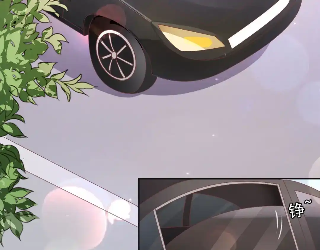 《王爵的私有宝贝》第195话 第29页