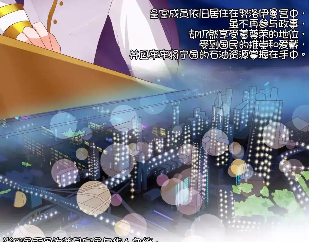 《王爵的私有宝贝》第2话 第27页