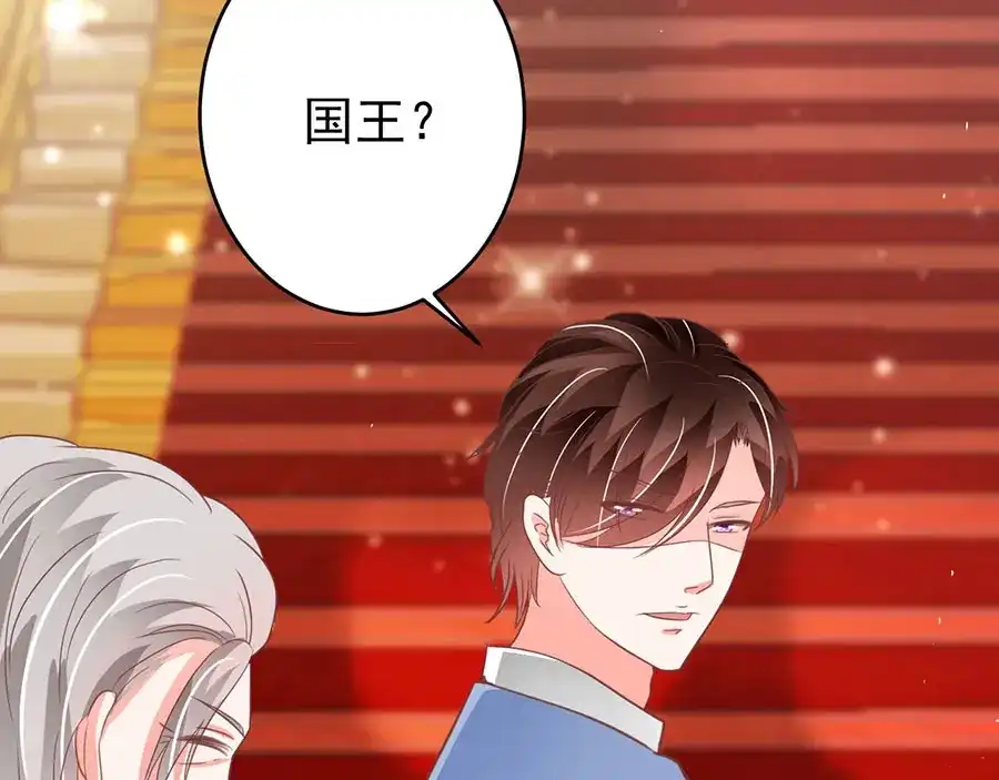 《王爵的私有宝贝》第204话 第13页