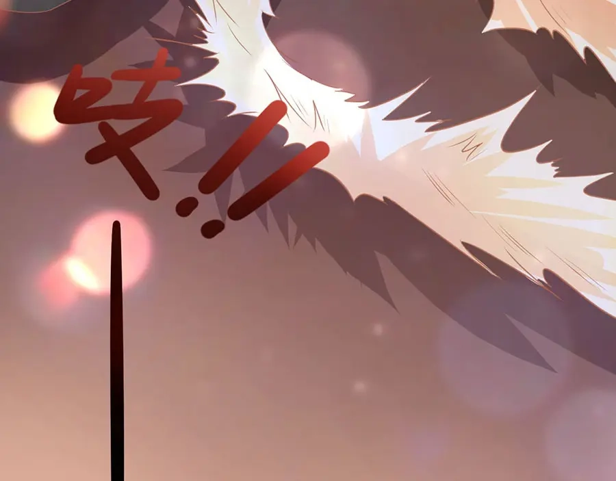 《王爵的私有宝贝》第210话 第11页