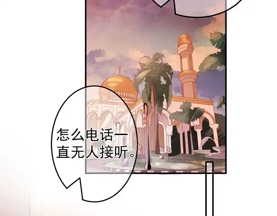 《王爵的私有宝贝》第213话 第75页