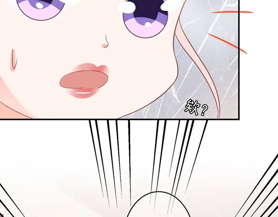 《王爵的私有宝贝》第215话 第65页