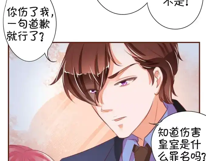 《王爵的私有宝贝》第28话 第45页