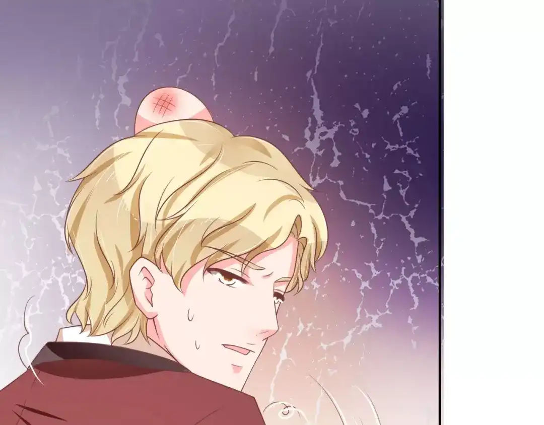 《王爵的私有宝贝》第60话 第33页