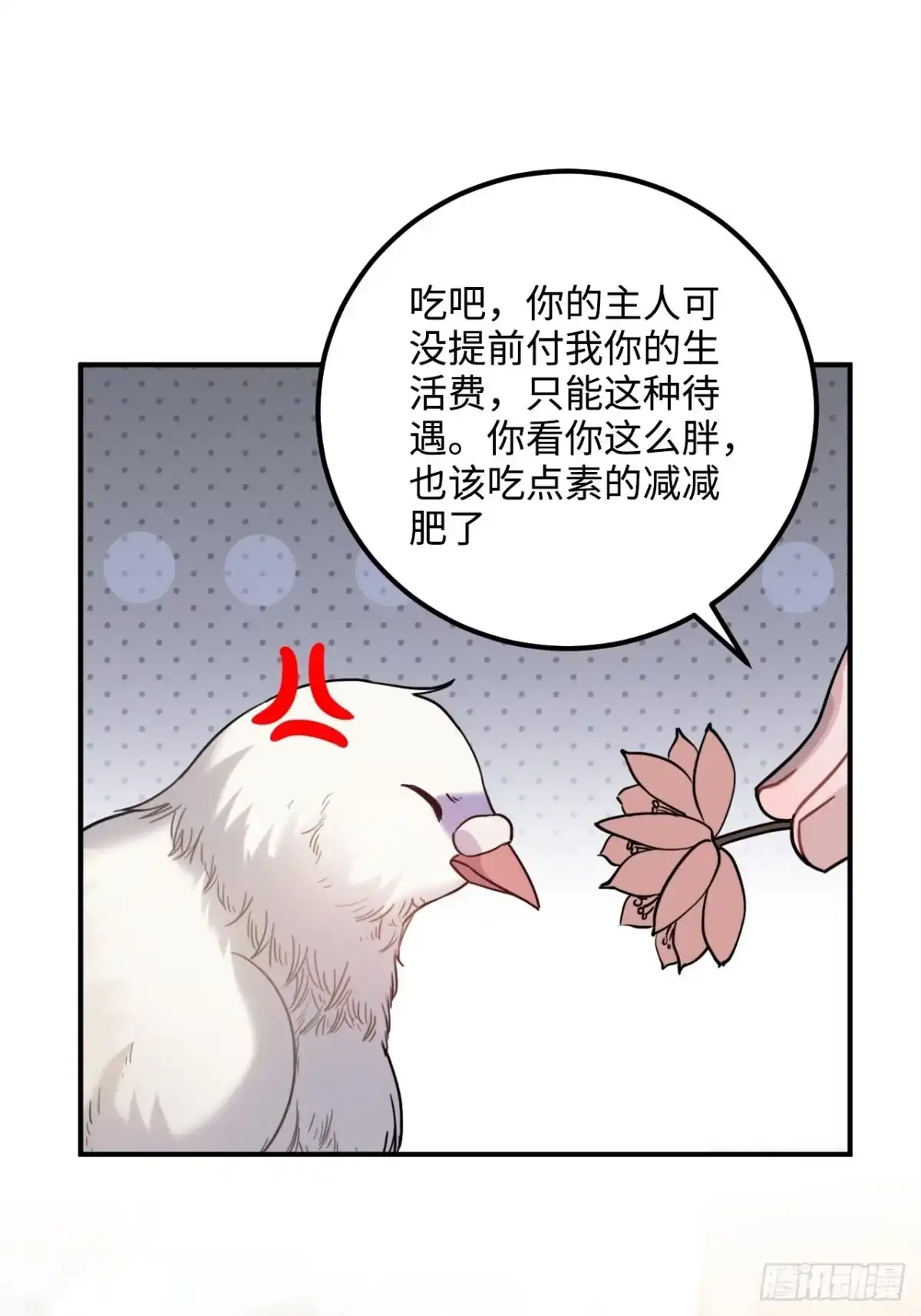 《王爷府的直男小娇妃》53.鸽子和往事 第19页