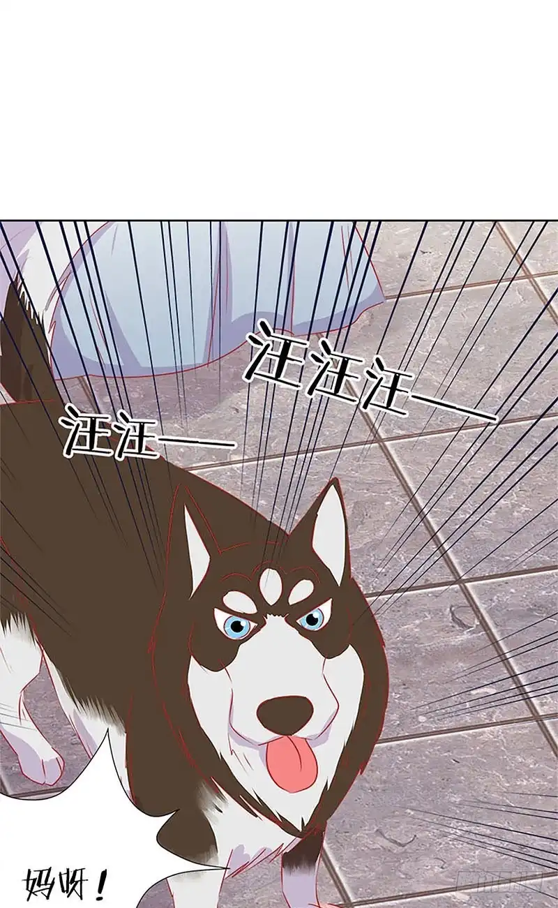 《王爷你好坏》第66话 寻找苏樱 第8页