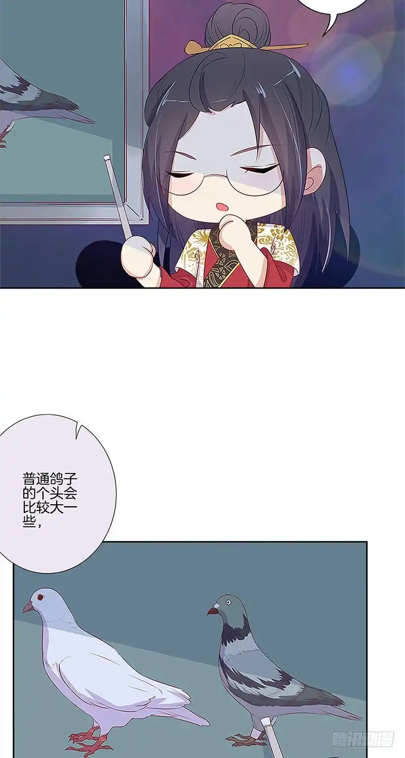 《王爷你好坏》第77话 回娘家 第4页