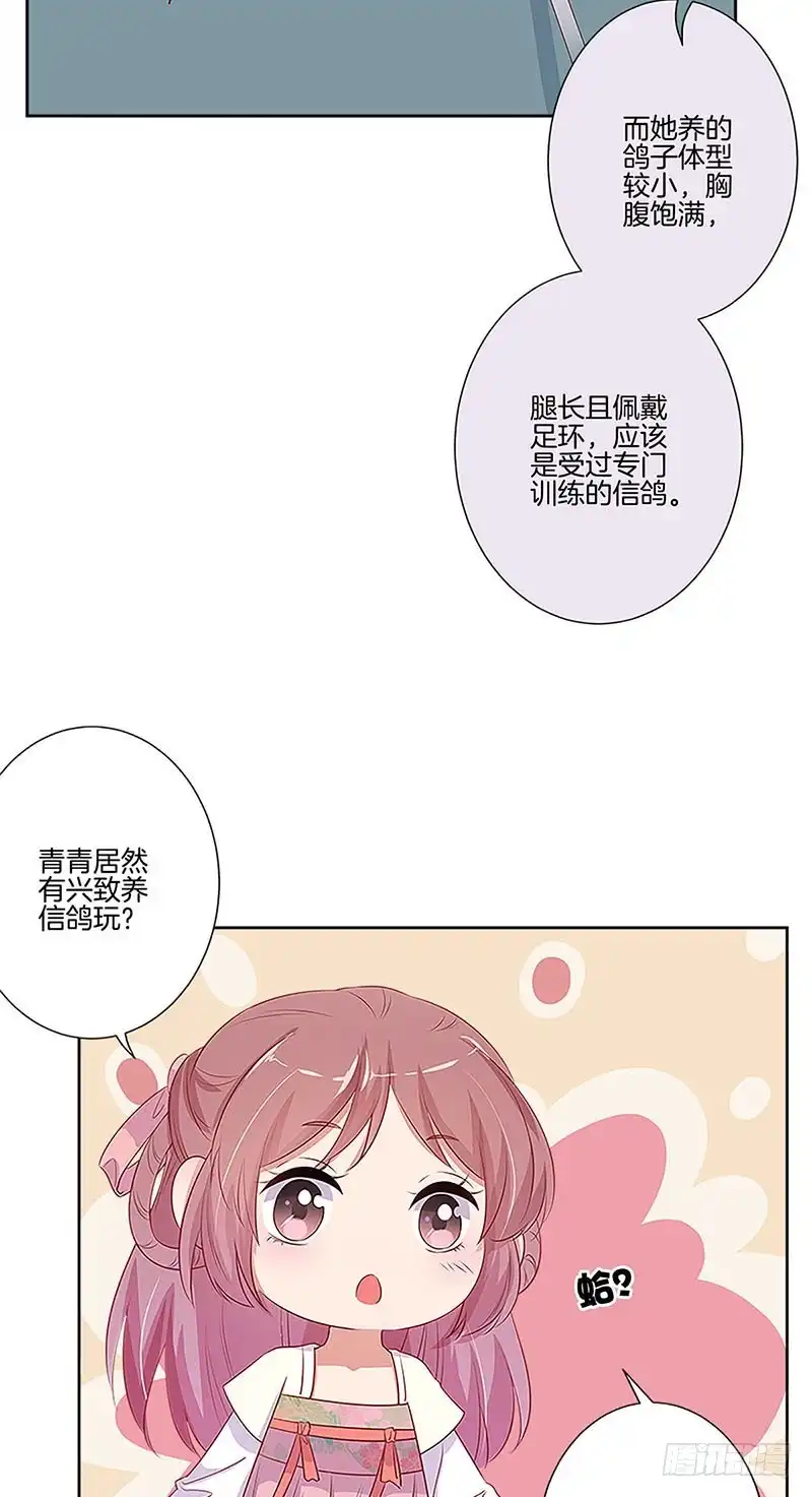 《王爷你好坏》第77话 回娘家 第5页