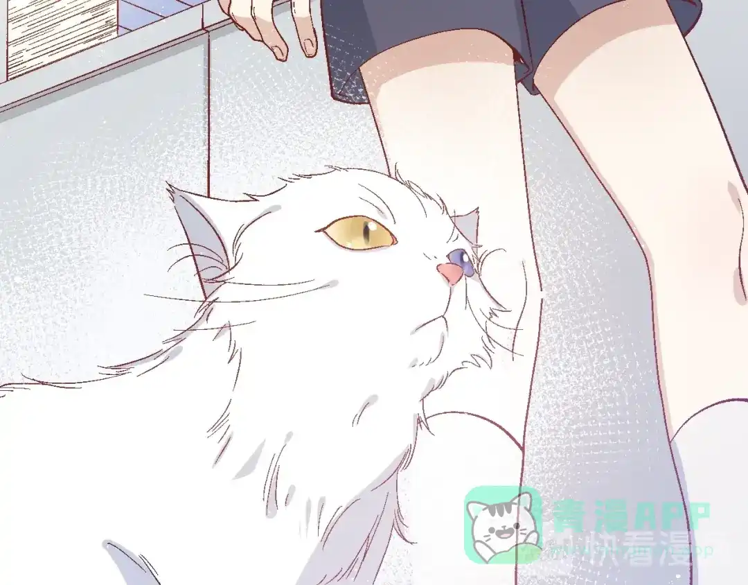 《王子的王子》第1话 平民变王子 第41页