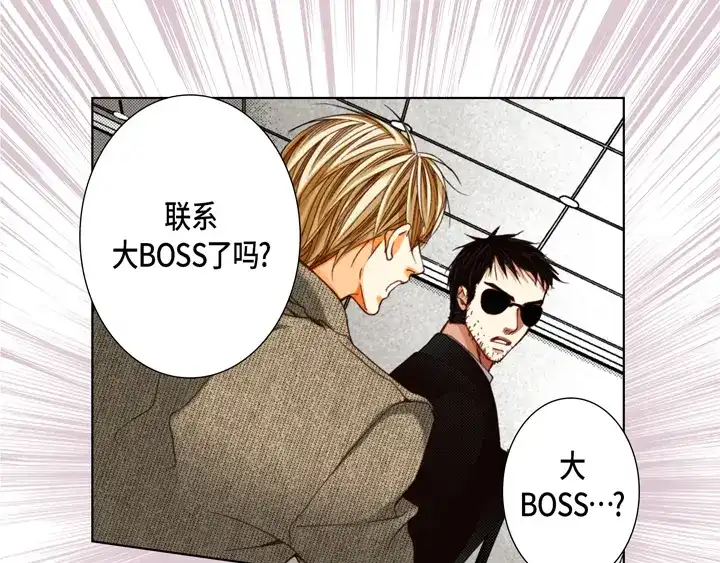 完美无缺的虏获 第111话 大哥有危险 第49页