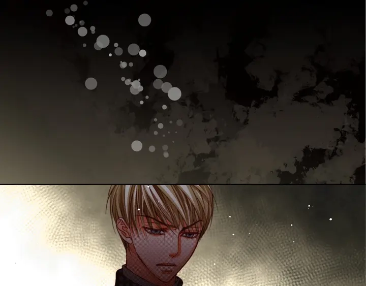 完美无缺的虏获 第116话 消失 第29页