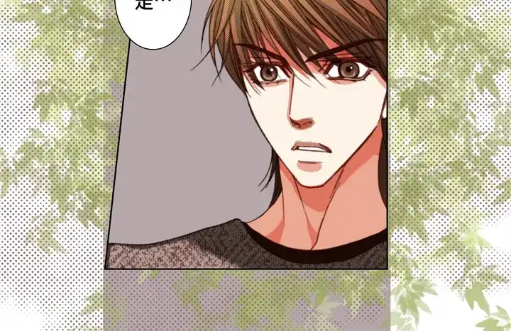 完美无缺的虏获 第116话 消失 第50页