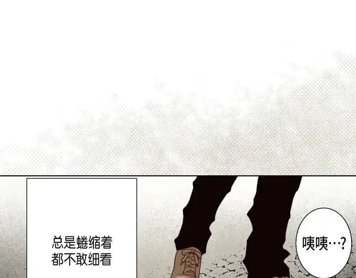 完美无缺的虏获 第125话 完结篇 第91页