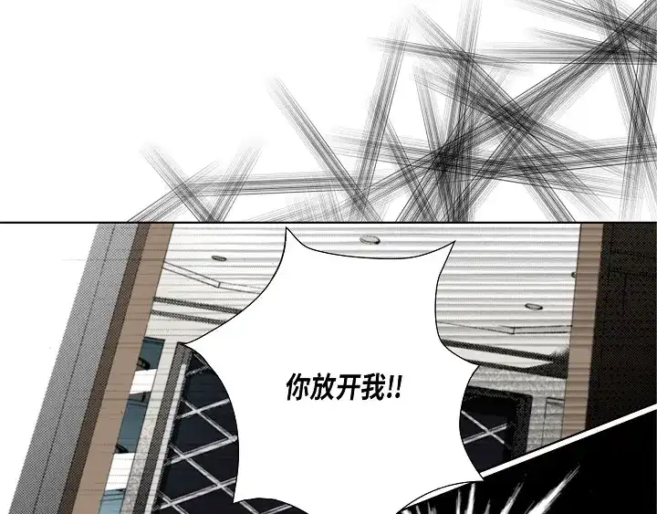 完美无缺的虏获 第38话 放开我 第67页