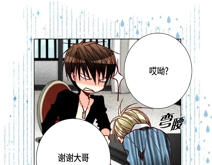 完美无缺的虏获 第51话 巧克力 第39页