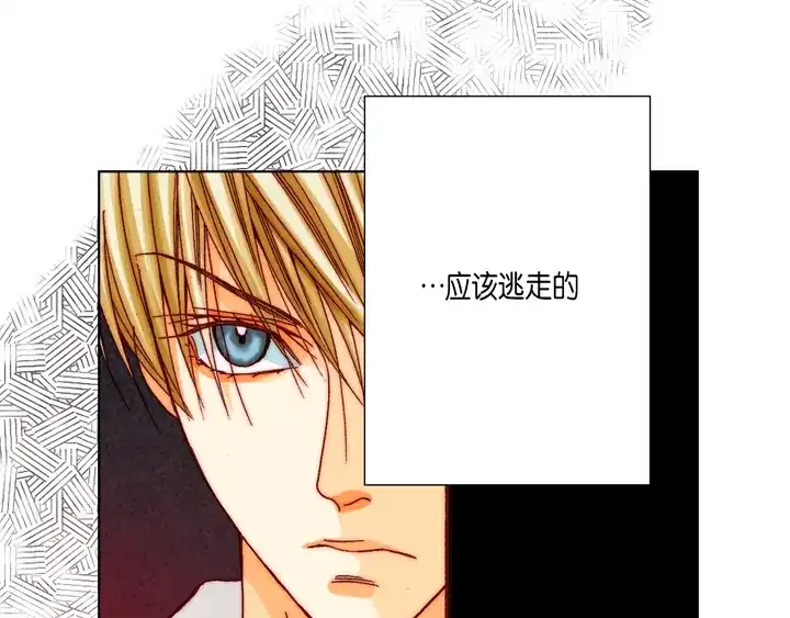 完美无缺的虏获 第53话 不错的买卖 第11页