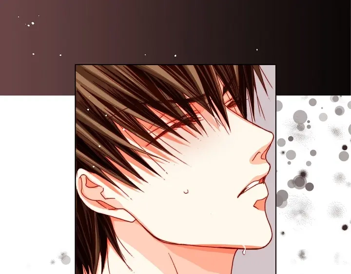 完美无缺的虏获 第56话 我会尽力的 第21页